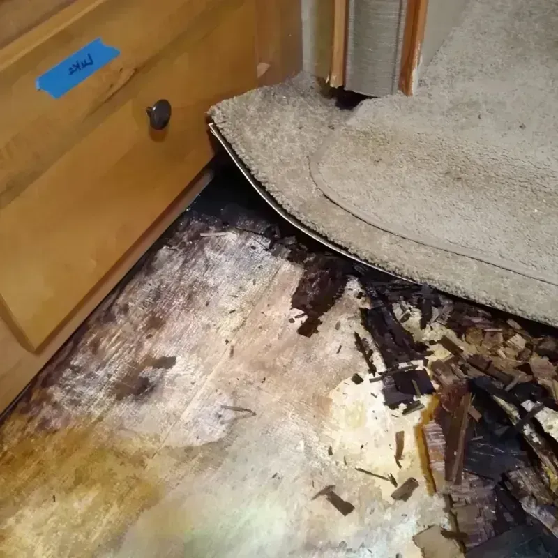 Wood Floor Water Damage in Baltimore, OH